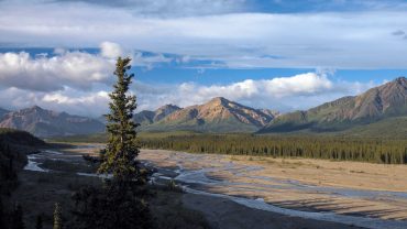 Denali National Park in Alaska, United States of America.