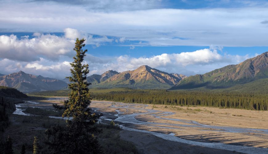 Denali National Park in Alaska, United States of America.