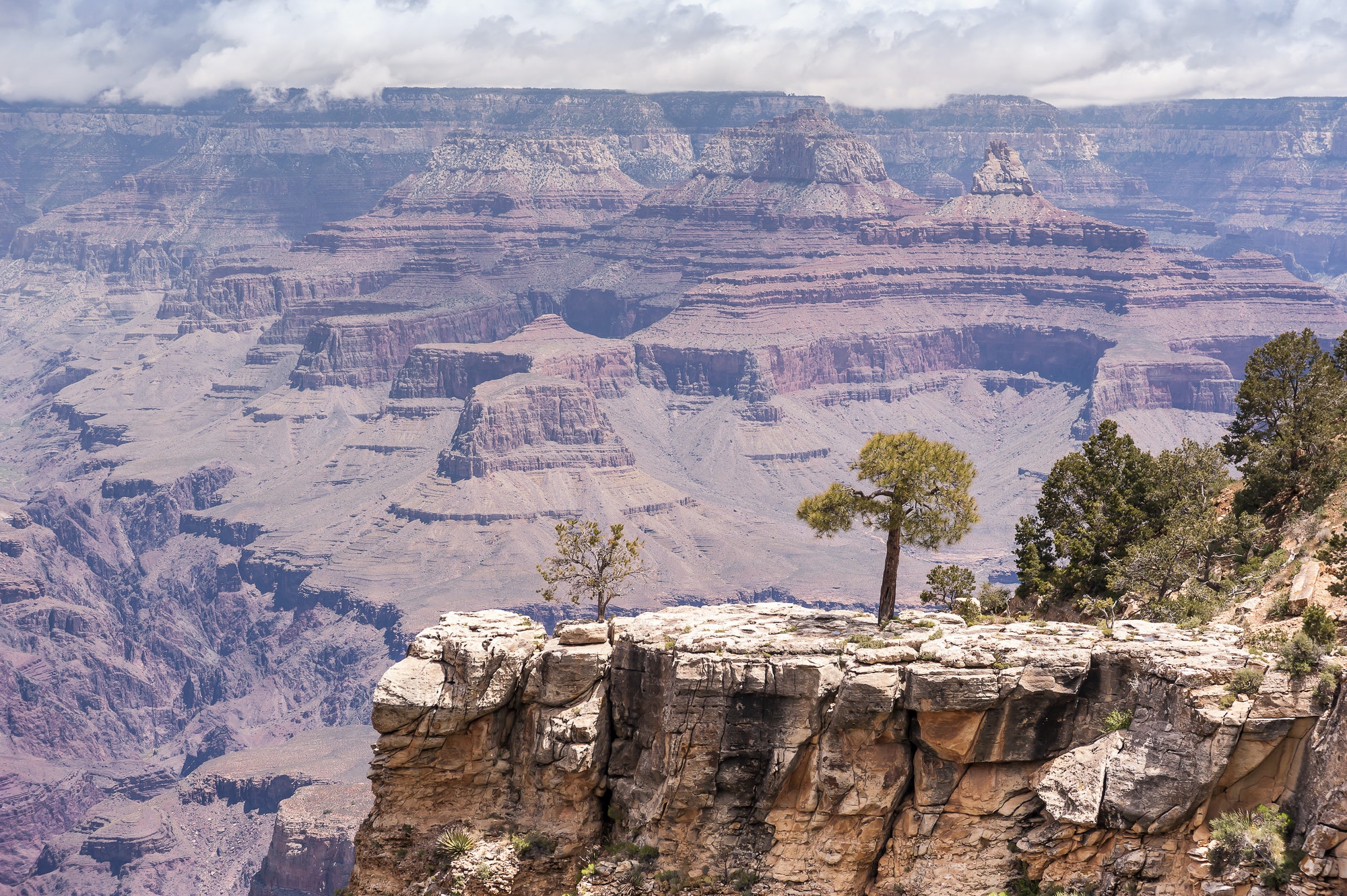 Sunny Day at Grand Canyon National Park, South Rim of View Point, Arizona, USA.